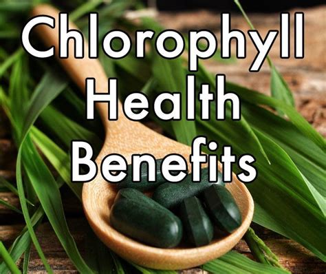 Chlorophyll Health Benefits Healthy Focus