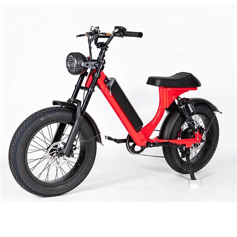 Leo Adopts CE Certified Electric Bike With Fat Tires Customized For Men