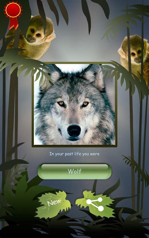 What Wolf Are You? (4) - Personality Quiz