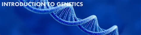 Introduction to Genetics | Basic Biology