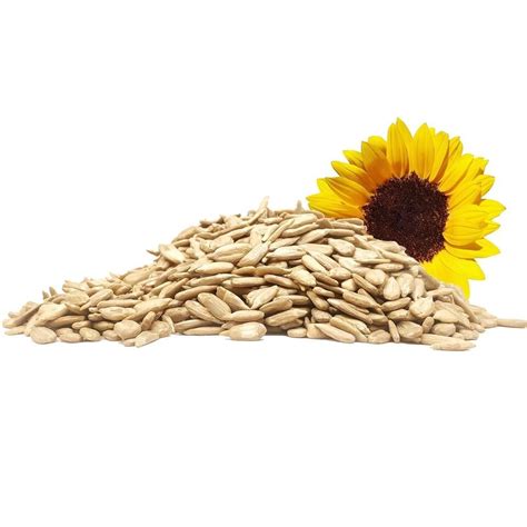 Sunflower Seeds Surajmukhi Magaj Edible Nuts Natural Nuts G