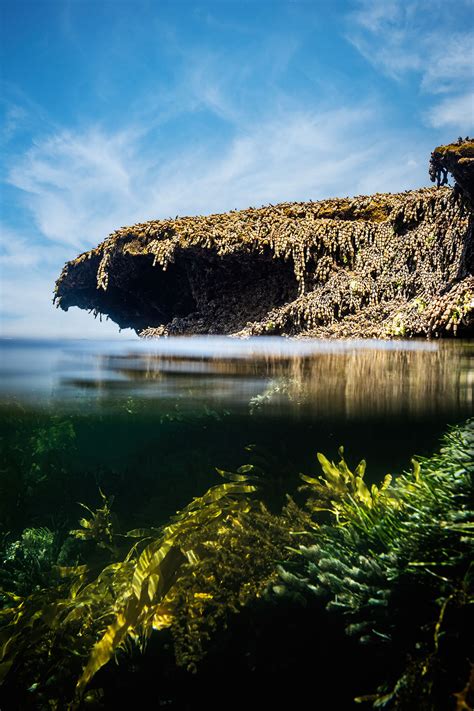 Rock Pool Garden - Nikole Ramsay Photography