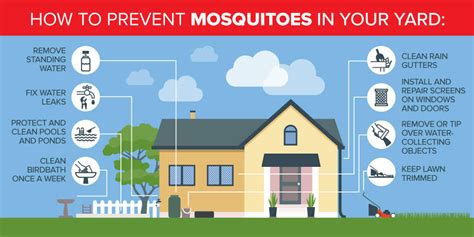 8 Common Breeding Grounds For Mosquitoes Johnson Pest Control