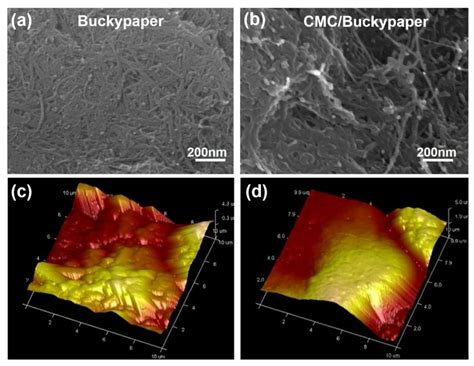 Nanomaterials Free Full Text Preparation And Properties Of Highly