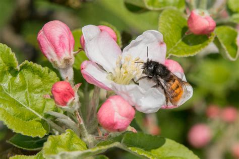 AgriSound New Dorset Wildlife Trust Report Agri TechE