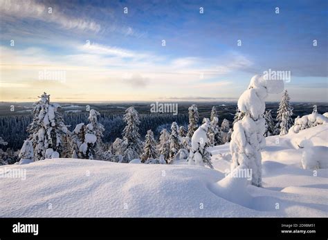 Snowy winter landscape in Koli National Park, Finland Stock Photo - Alamy