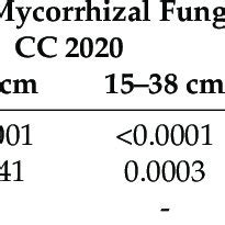 Analysis Of Variance Anova Results For Arbuscular Mycorrhizal Fungi