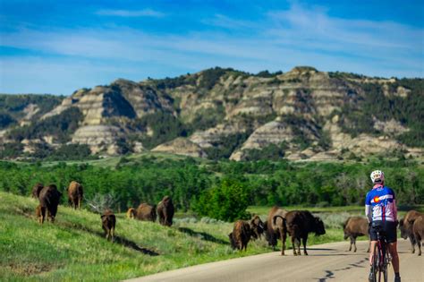 Theodore Roosevelt National Park: Buffalo and Badlands Galore – Unusual ...