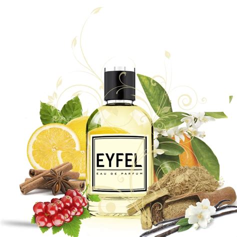 Парфюмерная вода для мужчин Eyfel, M-62-74-119, 50 мл купить по низким ...