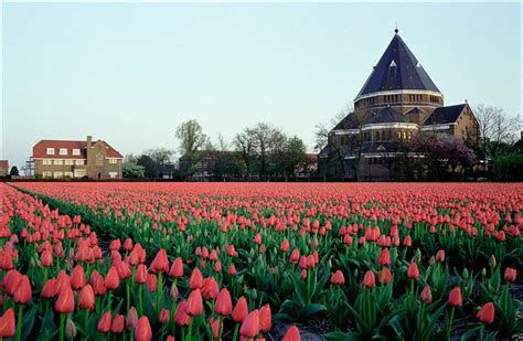 Lisse, the Netherlands | Travel dreams, Netherlands, Holland