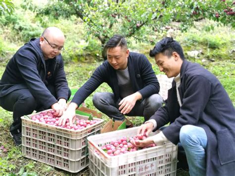 “眉山援藏茂县行”——东坡茂县兄弟情 眉山网－眉山新闻网－主流媒体 眉山门户