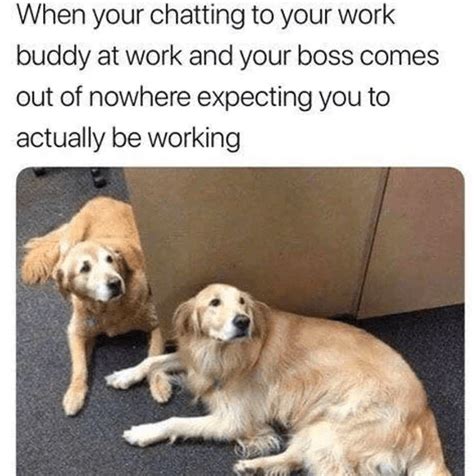 Funny And Relatable Work Memes To Make You Laugh Brosix