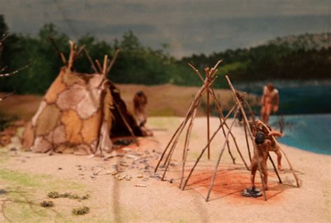 L habitat au Paléolithique Hominides