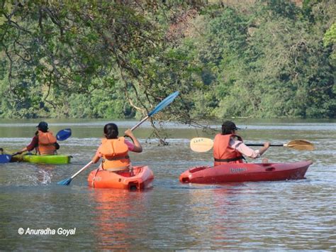 Dandeli By The River Kali - Places To Visit In Karnataka - Inditales