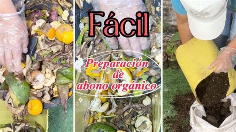 Guía práctica Cómo hacer fertilizantes orgánicos caseros eco360