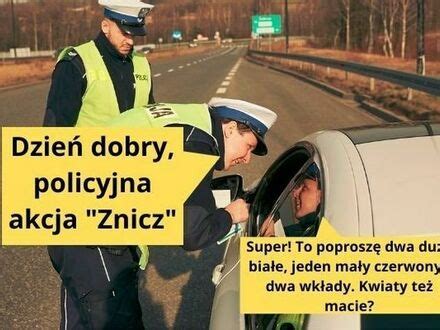 Tak działają elyty polityczne Joe Monster