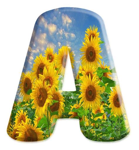 Sussurro De Amor Alfabeto Girassois Sunflower Wallpaper Sunflower