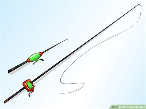 How To Catch Shad 13 Steps With Pictures Wikihow