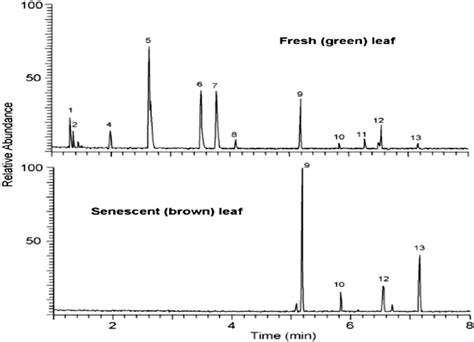 Gas Chromatography Coupled To Mass Spectrometry Chromatogram Of Download Scientific Diagram