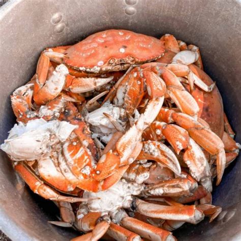 Blue Crabs Recipes