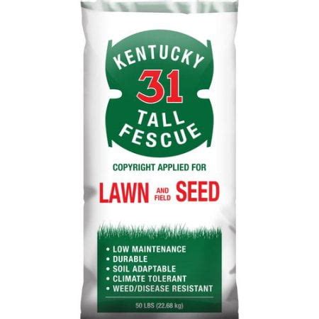 SeedRanch Kentucky 31 Tall Fescue Grass Seed - 50 Lbs. - Walmart.com ...