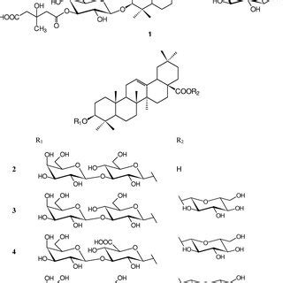 Triterpene saponins (1-5) from C. arvensis. | Download Scientific Diagram