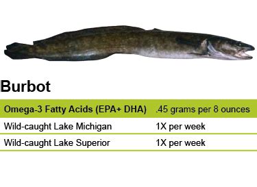 Burbot – Eat Wisconsin Fish