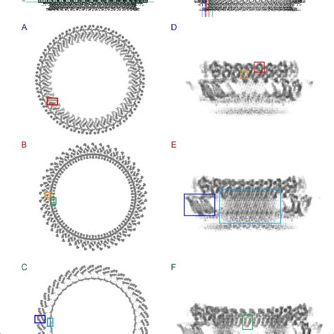 Mechanism Of Membrane Insertion And Pore Formation Stepwise