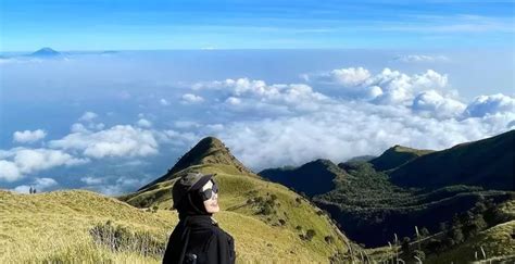 Panduan Mendaki Gunung Merbabu Via Suwanting Untuk Tahun Baru Cara