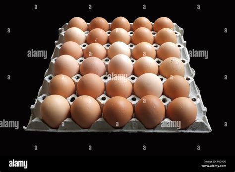 Egg Carton Farm Hi Res Stock Photography And Images Alamy