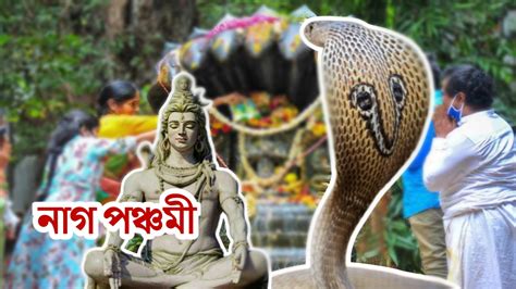 Nag Panchami 2023 নাগপঞ্চমীতে মেনে চলুন এই বিশেষ বিধিগুলি মিলবে