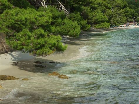 Formentor Beach on Mallorca Stock Image - Image of europe, green: 3675053