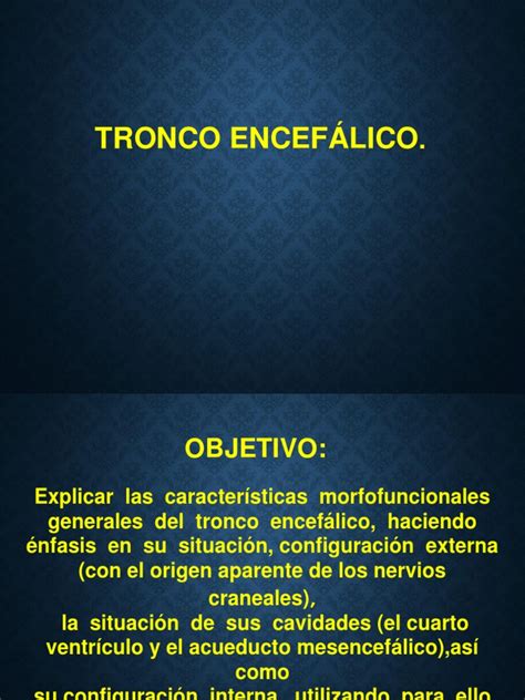 Tronco Encefálico Pdf Tronco Encefálico Órgano Anatomía