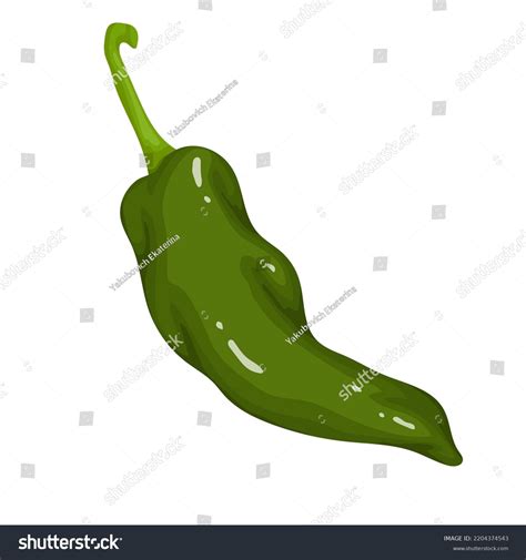 Pod Green Hot Chili Peppercartoon Vector Stock Vector Royalty Free Shutterstock