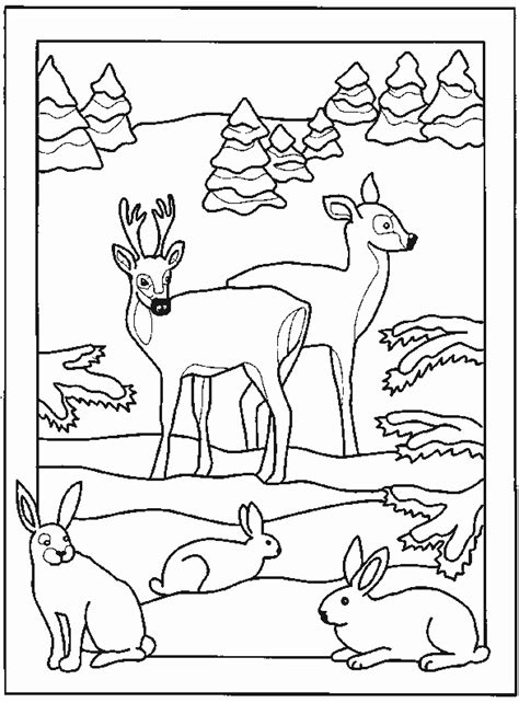 Télécharger Coloriage De Foret A Imprimer Aperçu Voyager En Solo