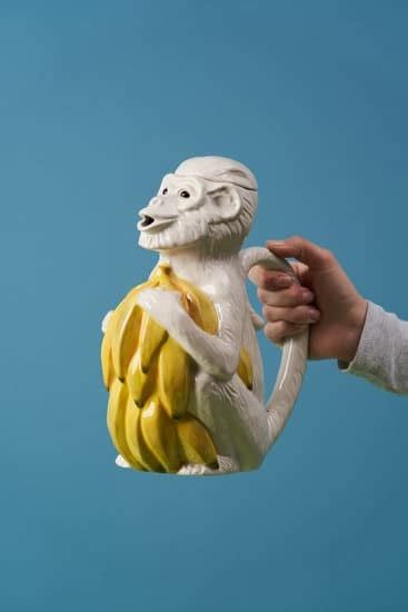 start  decorating  home home guide blog