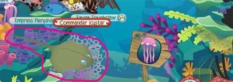 Animal Jam Adventures Crystal Reef Journey Book