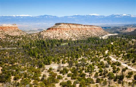 Exploring Los Alamos New Mexico Catch Carri Travel Guides And Local