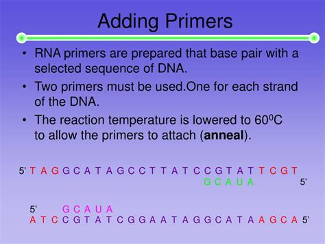 Ppt Polymerase Chain Reaction Powerpoint Presentation Free Download Id 5475587