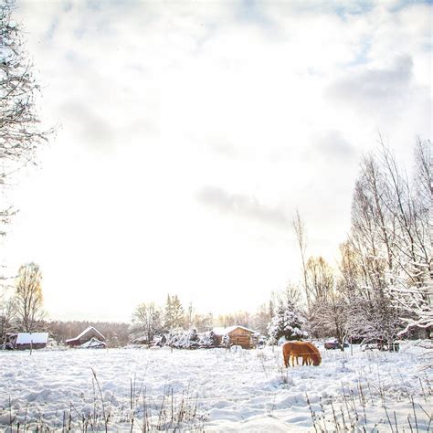 В избушке | Пикабу