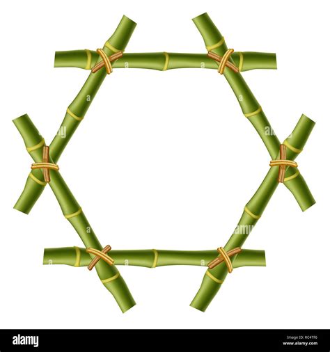 Hexagonal Green Wooden Border Frame Made Of Realistic Bamboo Stems With