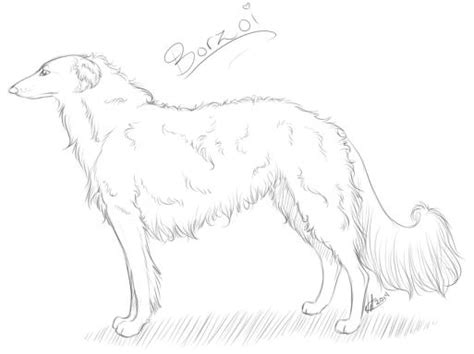 Borzoi Sketch By Vetinater On Deviantart