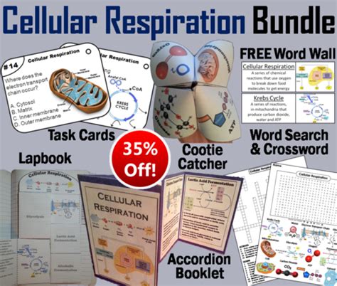 Cellular Respiration Task Cards And Activities Bundle Teaching Resources