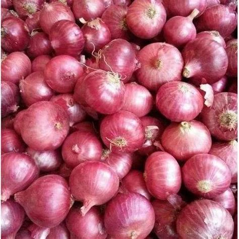 A Grade Red Onion Gunny Bag Packaging Size 50 Kg At Rs 45 Kg In Nadiad