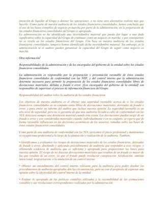 Nia Informe De Auditoria Pdf