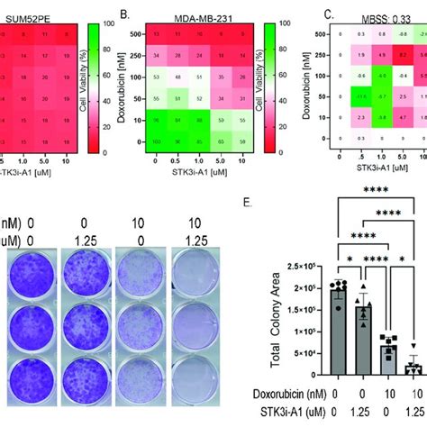 A Percent Growth Of Sum52pe Mda Mb 231 And Mcf 7 Cell Lines In Download Scientific Diagram