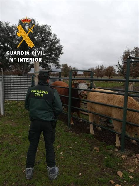 La Guardia Civil investiga a un varón como autor de un delito de