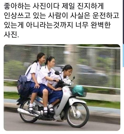 오토바이 타는 여학생 3명 짤 유머움짤이슈 에펨코리아