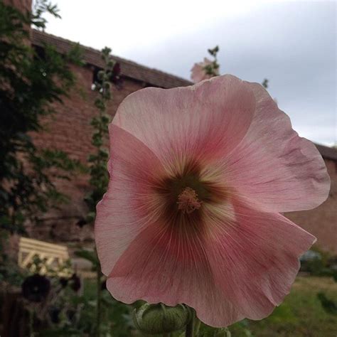 Matthias Oomen On Instagram Hochk Nigsburg Hautkoenigsbourg