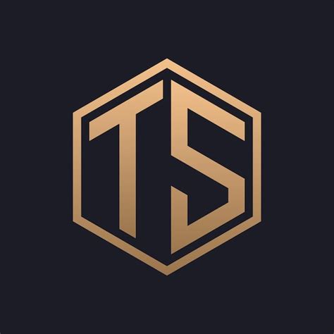 Elegante letra hexagonal diseño inicial del logotipo de TS Vector Premium